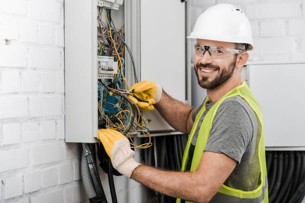 Best Ceiling Fan Installation Electrician  in Lake Magdalene, FL