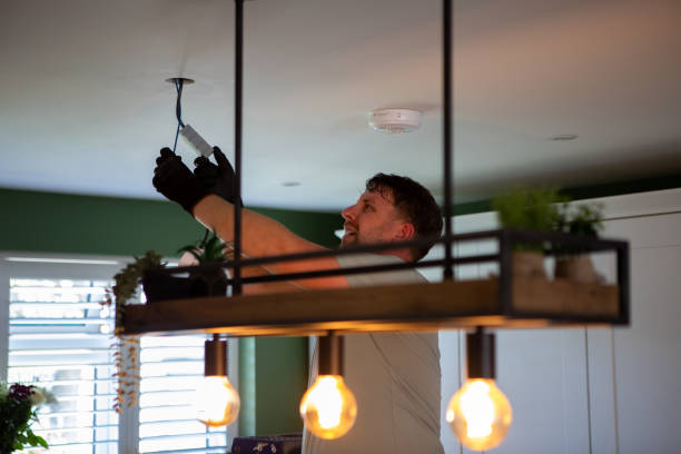 Best Electrical Troubleshooting Services  in Lake Magdalene, FL