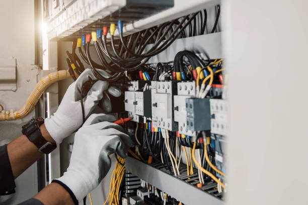 Best Home Electrical Repair  in Lake Magdalene, FL