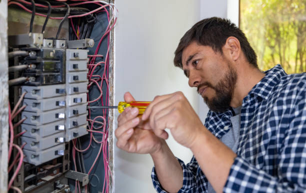 Best Electric Panel Repair  in Lake Magdalene, FL